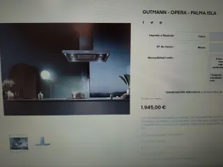 Campana extractora Gutmann alta gama