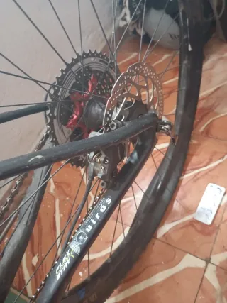 Bicicleta MTB Carbono 29