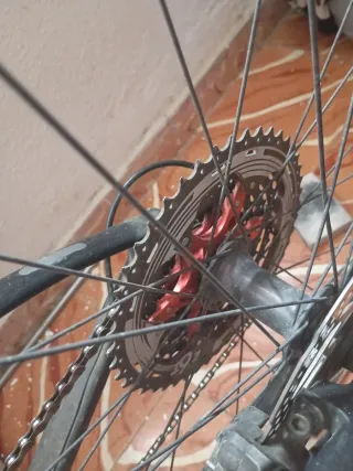 Bicicleta MTB Carbono 29