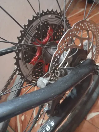 Bicicleta MTB Carbono 29