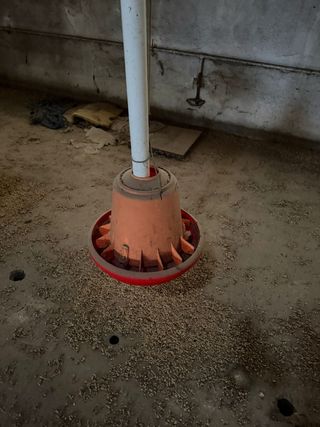 Comederos para pollos