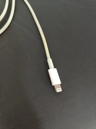 Cargador Apple iPhone/iPad Original