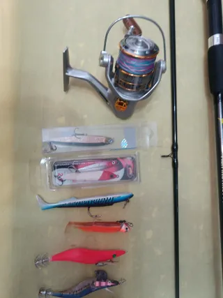 Caña de pescar, carrete y señuelos