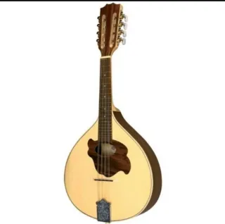Mandolino Gewa Pro Natura