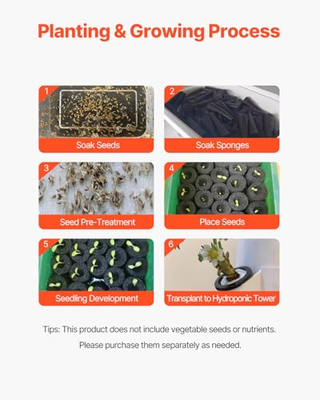 Sistema di Coltivazione Idroponica, 30 Baccelli Ve