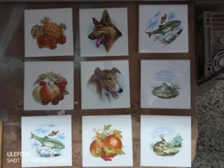 Set 9 Piastrelle Decorative