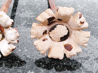 1 Tornillo antiguo grande.