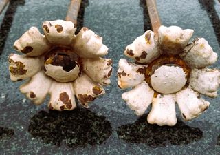 1 Tornillo antiguo grande.