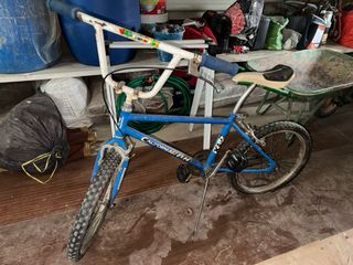 Bicicleta bh california