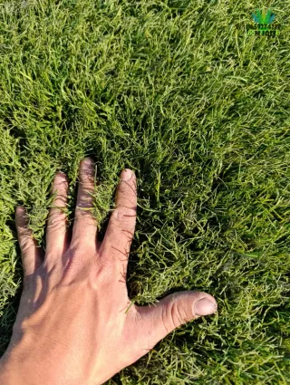 Césped artificial reciclado