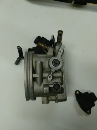 Cuerpo Mariposa Citroen Peugeot