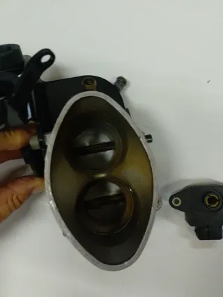 Cuerpo Mariposa Citroen Peugeot