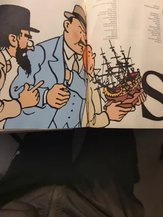 Le Dictionnaire des noms propres de Tintin: De ...
