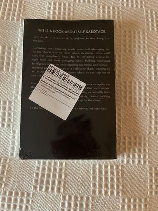 Libro The Mountain is you