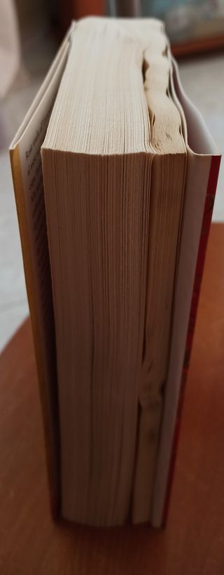 La bambola di porcellana