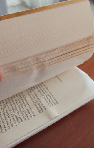 La bambola di porcellana