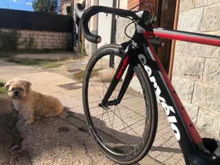 Bicicleta Cervélo S5