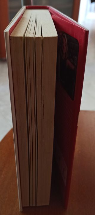 Questo amore sarà un disastro