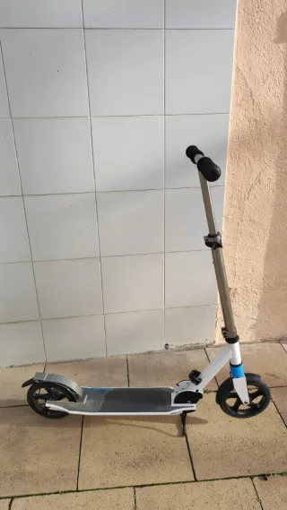 Patinete Tijuana 100kg