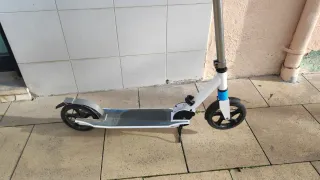 Patinete Tijuana 100kg