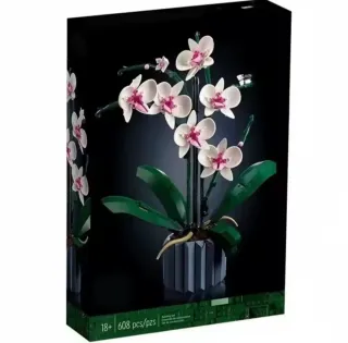 Set  Botanical Orquídea 10311