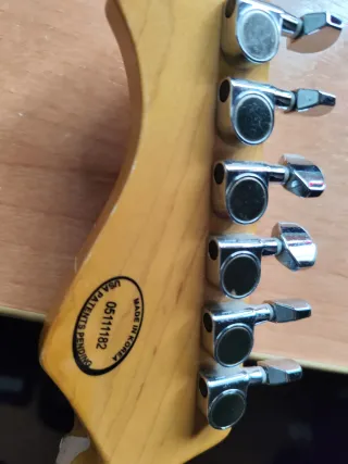 Chitarra Line 6 Variax 600