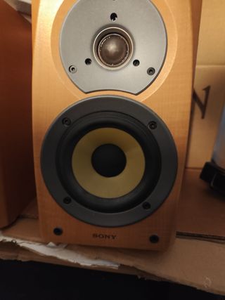 Altavoces Sony SS-CSD1