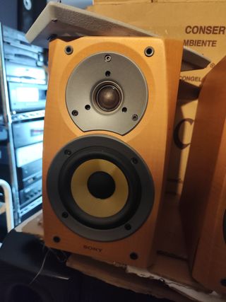 Altavoces Sony SS-CSD1