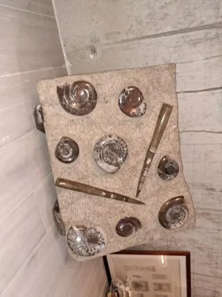 Mural de piedra con fósiles