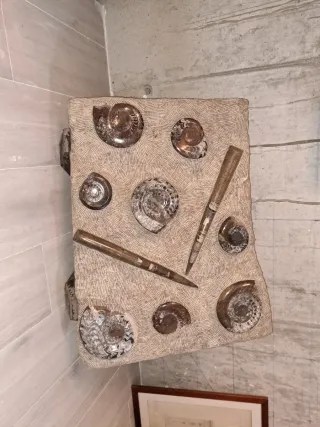 Mural de piedra con fósiles