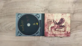 2 CDs Bunbury Palo Santo