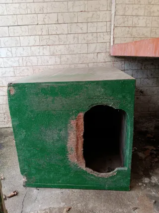 Caseta para perros verde