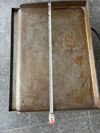 Plancha Eléctrica Profesional