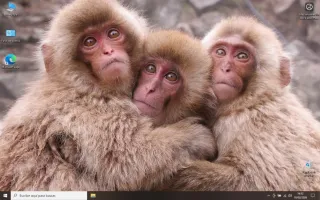 Dell Latitude E5410 Portátil