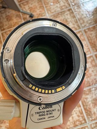 Canon EF 70-200mm f/2.8 L USM – Teleobjetivo (