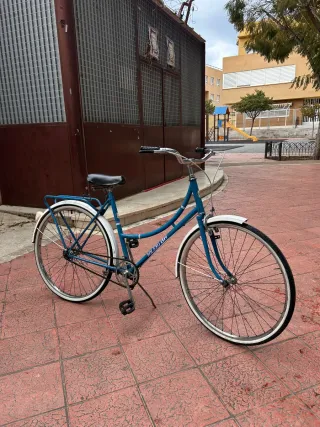Bicicleta de paseo azul