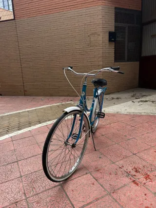 Bicicleta de paseo azul
