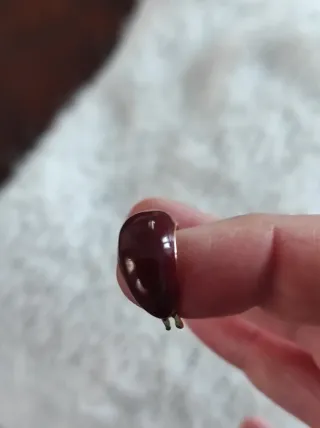 Orecchini a cerchietto borgogna e oro