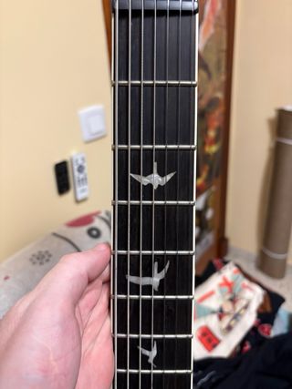 PRS Mark Holcomb 7 cuerdas