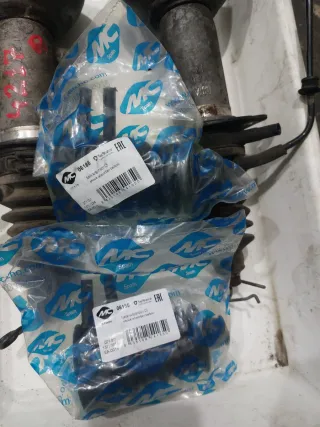 Amortiguadores Citroen C5 (Traseros)