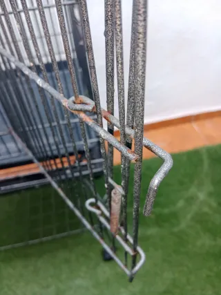 Jaula para cotorras o loro