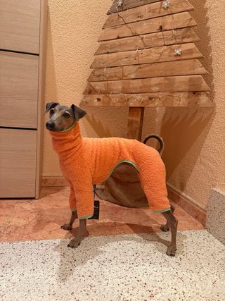 Ropa polar para perro .Galgo Italiano/Whippet