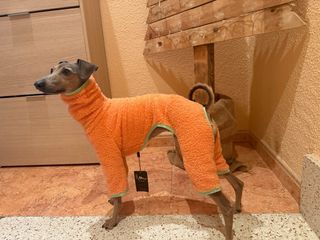 Ropa polar para perro .Galgo Italiano/Whippet