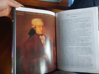 Mozart la flauta magica