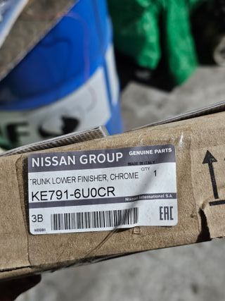 Moldura delantera Nissan Juke