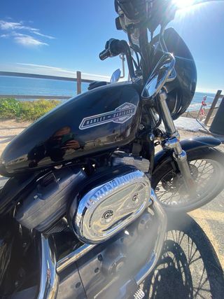 Harley Davidson Sportster 883 2001