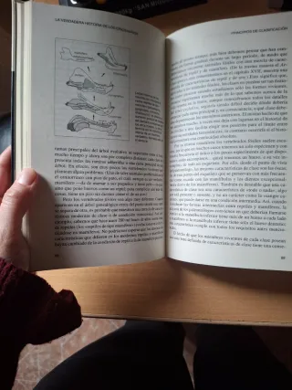 La verdadera historia de los dinosaurios