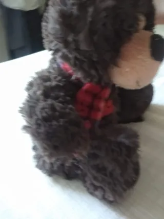 Orsetto peluche marrone con fiocco rosso