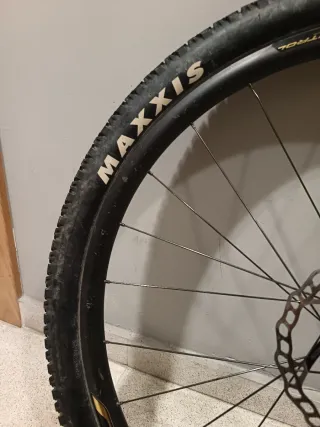 Ruedas carbono MTB 29 Roval Control