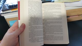 UN AMOR SECRETO (Spanish Edition)